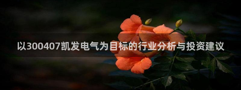苏州凯发新材料：以300407凯发电气为目标的行业分析与投资建议