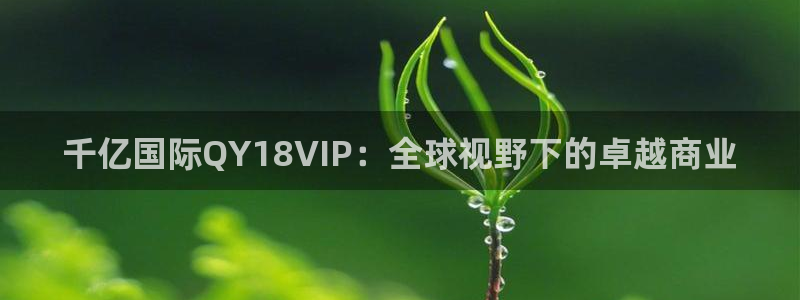k8凯发ccm麻将胡了：千亿国际QY18VIP：全球视野下的卓越商业