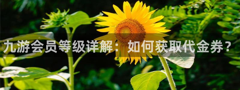 k8凯发电子娱乐官网下载：九游会员等级详解：如何获取代金券？