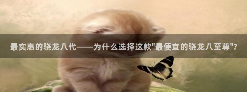 苹果版k8凯发下载安装：最实惠的骁龙八代——为什么选择这款\
