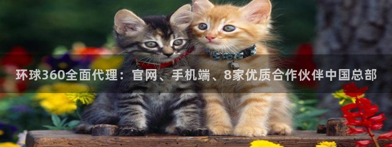 壹号大舞台入口：环球360全面代理：官网、手机端、8家优质合作伙伴中国总部