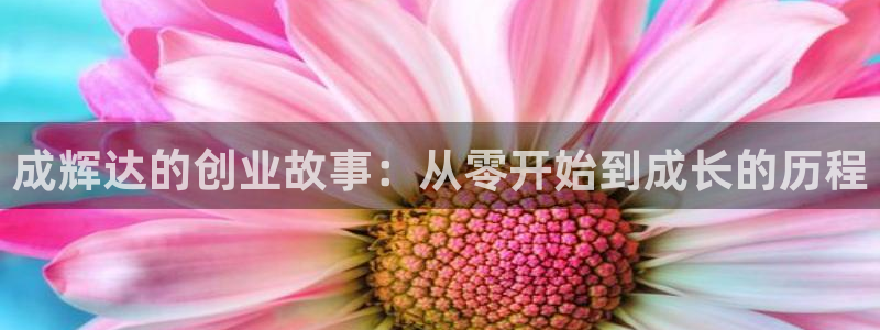 壹号下载官网入口：成辉达的创业故事：从零开始到成长的历程