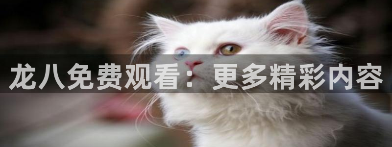 壹号国际app免费下载安装：龙八免费观看：更多精彩内容