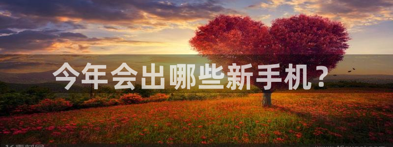 k8凯发网站：今年会出哪些新手机？