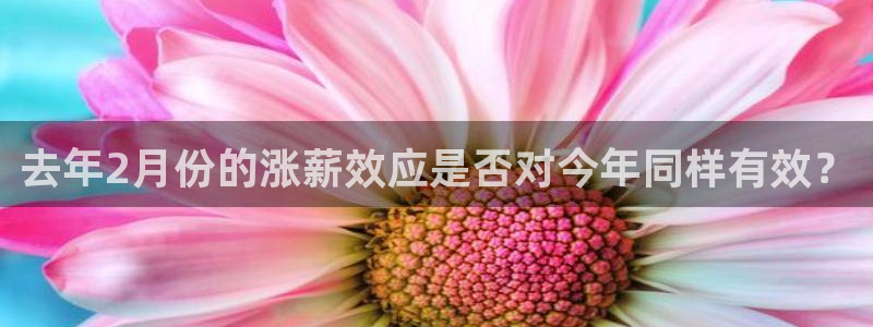凯发电气股票吧：去年2月份的涨薪效应是否对今年同样有效？