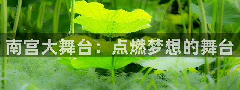 凯发苑：南宫大舞台：点燃梦想的舞台