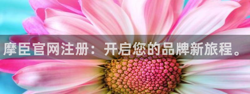 苏州市凯发金属制品有限公司：摩臣官网注册：开启您的品牌新旅程。