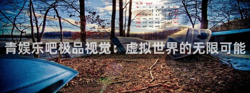 凯发电气2025目标价：青娱乐吧极品视觉：虚拟世界的无限可能