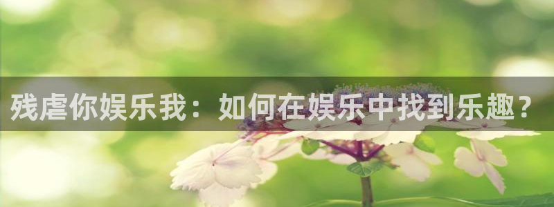 k8凯发加拿大app预测：残虐你娱乐我：如何在娱乐中找到乐趣？