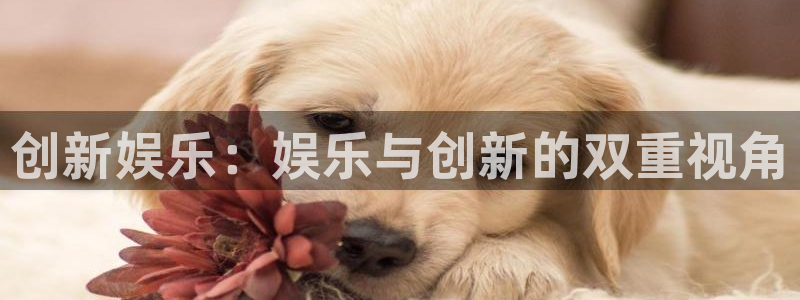 k8凯发平台app下载安装：创新娱乐：娱乐与创新的双重视角