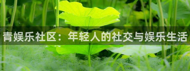 k8凯发是正规平台吗：青娱乐社区：年轻人的社交与娱乐生活