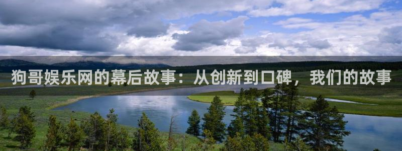 k8凯发有梦你就来：狗哥娱乐网的幕后故事：从创新到口碑，我们的故事