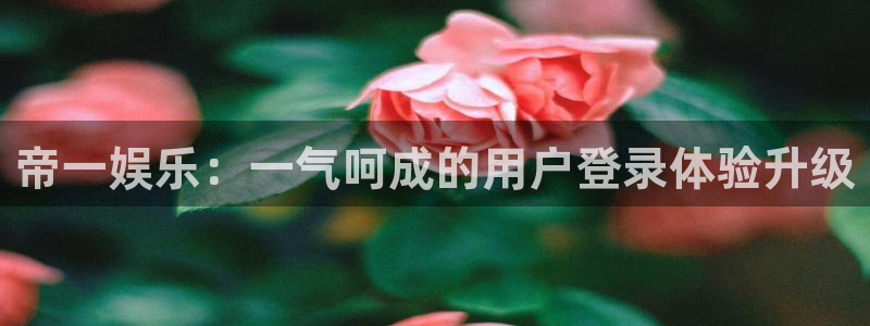 k8凯发下载官网入口在哪：帝一娱乐：一气呵成的用户登录体验升级