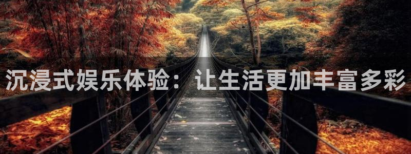 k8凯发ag旗舰：沉浸式娱乐体验：让生活更加丰富多彩