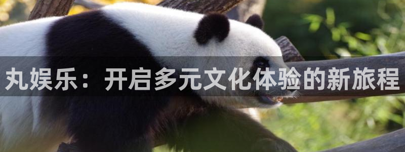 k8凯发赏金女王：丸娱乐：开启多元文化体验的新旅程