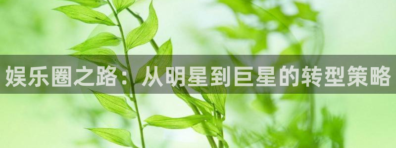 k8凯发是什么：娱乐圈之路：从明星到巨星的转型策略