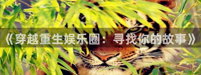 壹号玩家app下载：《穿越重生娱乐圈：寻找你的故事》