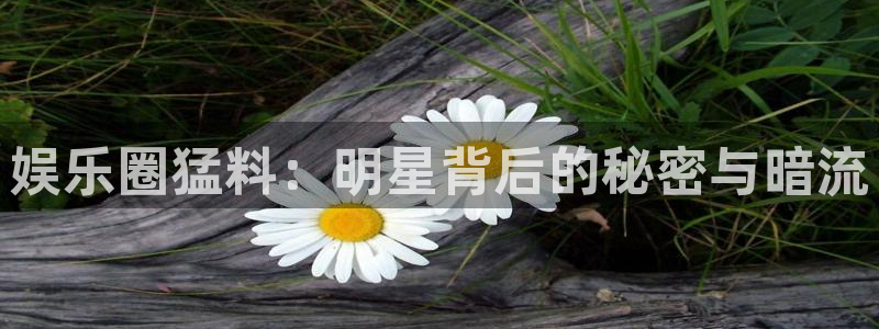 凯发k8娱乐唯一官网：娱乐圈猛料：明星背后的秘密与暗流