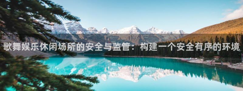 凯发k8国际|首页：歌舞娱乐休闲场所的安全与监管：构建一个安全有序的环境