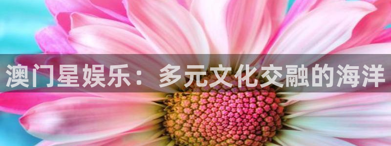 k8凯发官网版：澳门星娱乐：多元文化交融的海洋