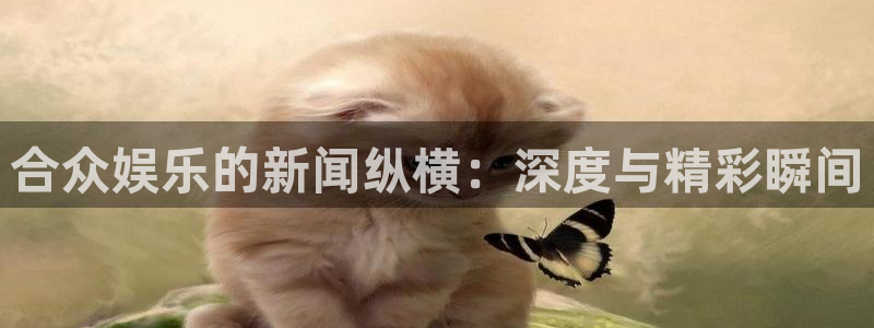 k8凯发电玩网官网入口