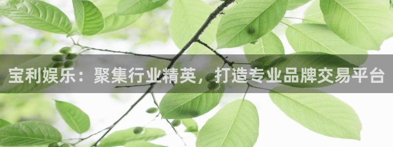 壹号大舞台28国际大舞台：宝利娱乐：聚集行业精英，打造专业品牌交易平台