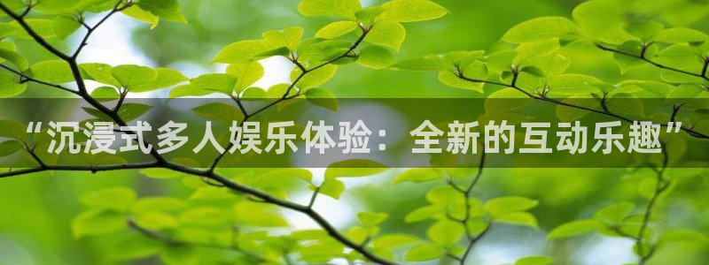凯发k8国际注册：“沉浸式多人娱乐体验：全新的互动乐趣”