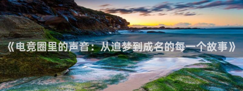 k8凯发下载官网入口在哪：《电竞圈里的声音：从追梦到成名的每一个故事》