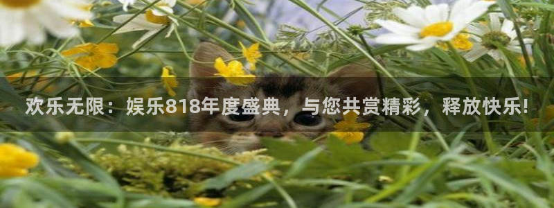k8凯发平台下载入口：欢乐无限：娱乐818年度盛典，与您共赏精彩，释放快乐!