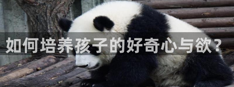 壹号平台下载：如何培养孩子的好奇心与欲？