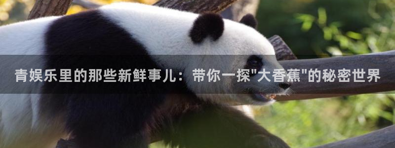 k8凯发app下载