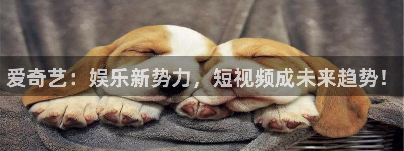 壹号平台app下载安装：爱奇艺：娱乐新势力，短视频成未来趋势！