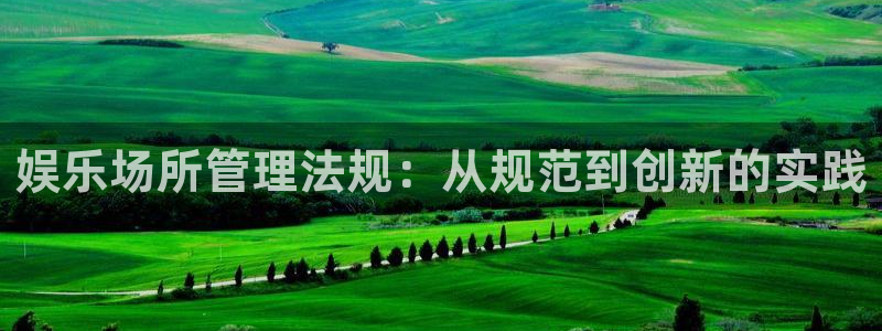 k8凯发注册网站链接：娱乐场所管理法规：从规范到创新的实践